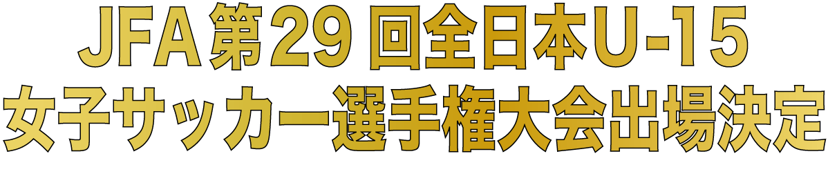 スライド8テキスト